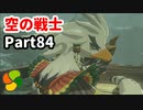 【実況】今年で定年を迎える父をハイラルの大地に放り込むPart84【ゼルダの伝説BotW】