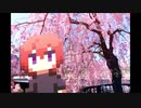 【実況】解像度をあげる恋愛ゲーム【ドトコイ】part6