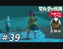 【実況】ウルリンといっしょ＃39｢もうひとりの母｣【BotW】