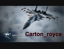 Ace Combat 7 Extra183 バトルロイヤル Carton氏とのタイマン総集編