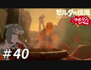 【実況】ウルリンといっしょ＃40｢鉱石も煮れば食べられるよね！｣【BotW】