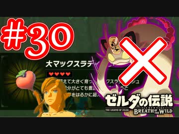 【ゼルダの伝説ブレスオブザワイルド実況】3Dで広大な世界を自由に走り回れる楽しさをおすそ分け！？part30