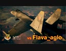 Ace Combat 7 Extra186 バトルロイヤル Flava_aglo氏とのタイマン総集編