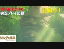 【寄り道ばかりの】ゼルダの伝説BotW【実況プレイ記録51】迷いの森