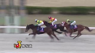第7回梅桜賞 ニュータウンガール