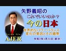 『世界的なパワーバランス変化の要因とその趨勢』矢野義昭 AJER2020 .1.31(3)
