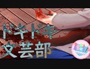 【絶叫実況】秋の夜長に死ぬほど怖いギャルゲーをやろう【ドキドキ♡文芸部】Part23