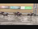 2020年1月28日川崎競馬9R マイスターチャレンジ(C2) シゲルルビー