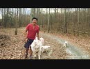 【ダーク♂日常】Lancaster, Bosco and Harland