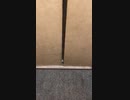 エレベーターの中｜夏輝のショートストーリー