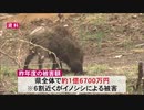 鳥獣被害対策・成功の秘訣は“リーダーの育成”！？　震災・原発事故以降増え続ける野生動物