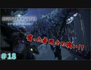 死の狭間の戦い　「モンスターハンターワールド：アイスボーン～討伐編～」　＃18