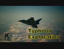 Ace Combat 7 Multiplayer615 バトルロイヤル Typhoon + HCAA