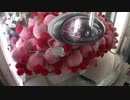 【UFOキャッチャー】獲れるの見極めて1発でゲット！