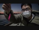 【釣り動画】愛知県半田港でスズキ、カサゴがHIT！しました！