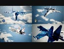 Ace Combat 7 Multiplayer619 バトルロイヤル Su-37 + HPAA