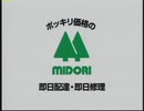 MIDORI ZONE【ミドリちゃらんぽらん X RED ZONE】