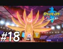 【実況】一時の感情でルールを課していくポケモン(剣)【ポケモン剣盾】#18