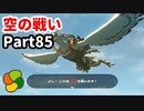 【実況】今年で定年を迎える父をハイラルの大地に放り込むPart85【ゼルダの伝説BotW】