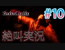 【ホラー】ビビリとゲラの影廊 絶叫実況 #10