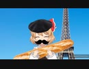 FRENCH TOUHOU meme