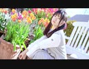 【べ～ぬ】 ディスコミュ星人 【踊ってみた】