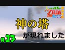 【小さな勇者の飲み実況】ゼルダの伝説 風のタクト HD part13【24歳フリーター】