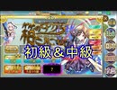【確認用】政剣マニフェスティア　箱の中からこんにちは　初級＆中級