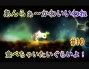 【 初めてのテラリウム】void tRrLM(); //ボイド・テラリウム　part10
