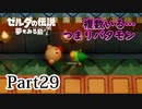 求むー「ゼル伝」のプロー【ゼルダの伝説　夢をみる島】 part29