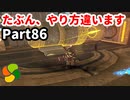 【実況】今年で定年を迎える父をハイラルの大地に放り込むPart86【ゼルダの伝説BotW】