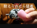 【ASMR】耳が痒くてスマホぶん投げる高速海ぶどうブラッシング【音フェチ】