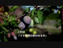 1本に40種類の実がなる「奇跡の木」、絶滅危惧の植物を保護（30日）