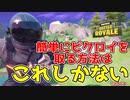 誰でも簡単にビクロイ取る方法をあの先生が徹底解説!?【フォートナイト】