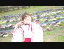 【なたん】どぅーまいべすと！【踊ってみた】