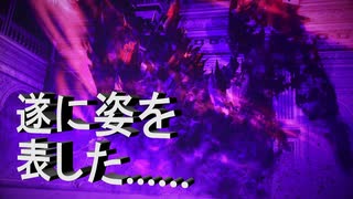 【ファイアーエムブレム無双】　遂に姿を表した邪竜……此れを倒せるの？2