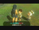 依頼を受けて、ハテノ村の子供がプルアちゃんと友達になりたいみたいだから会わせてあげた