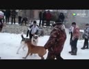 土佐犬ｖｓセントラル　５（閲覧注意）