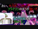 キバナよ...フライゴンのほうが強いぞ【ポケモンソード・シールド】