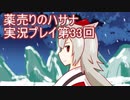 絶対弟を助けるぞ！　薬売りのハサナ実況プレイ第33回
