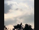 無条件の波動131