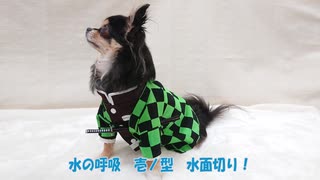 【鬼滅の刃】炭治郎のコスプレ犬服を作ってみた