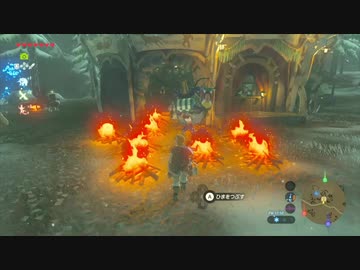 没動画オブザワイルド