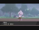 【ポケットモンスターソード】ここが噂のワイルドエリア！テンション上がるなぁ～！【実況】　その４
