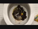M&M'sとオレオのクッキーをトイレに流してみた３