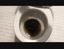 M&M'sとダイエットコーラをトイレに流してみた２