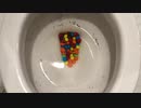 M&M'sとスライムをトイレに流してみた２