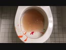 ５色のスライムをトイレに流してみた