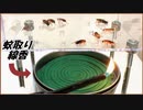 大量のゴキブリを「蚊取り線香」で燻したら想像以上の結果になった。