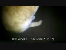 OH！ベリーキュートなシッポなのです(^^♪
